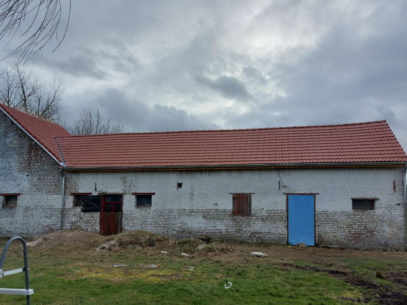 Toiture De Ferme En Cours De Renovation A Nieppe